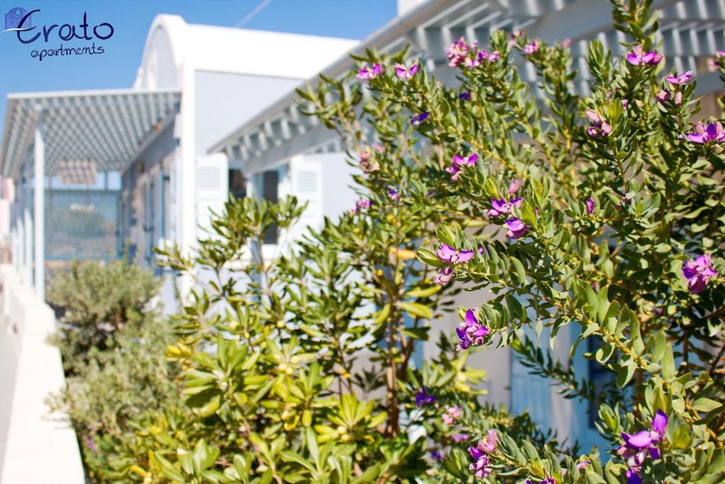 Erato Apartments Fira (Santorini) Exterior foto
